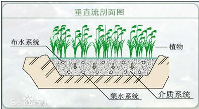 人工濕地污水處理