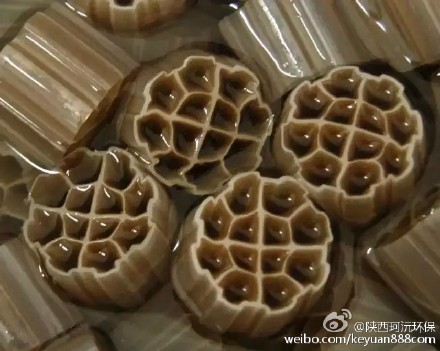污水處理工藝之“MBBR /IFAS”技術(shù)發(fā)展探討